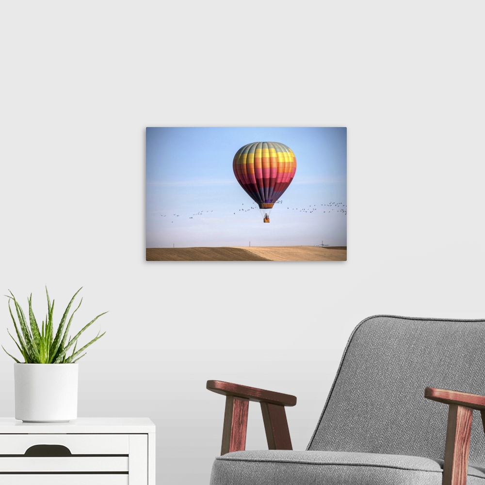 A modern room featuring Balloon over winter field in Colorado.