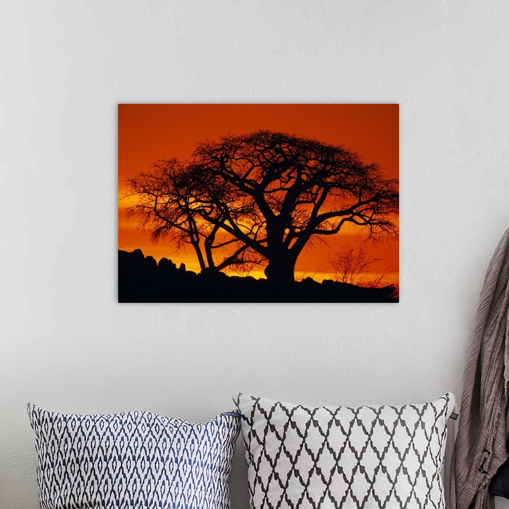A bohemian room featuring The setting sun silhouettes two baobab trees on Kubu Island in the Makgadikgadi Pan of the Kalaha...