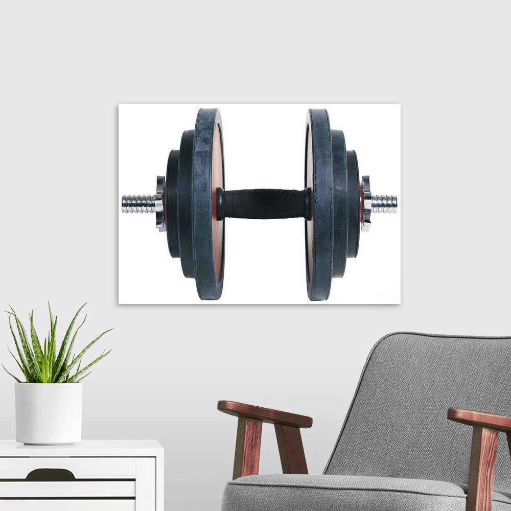 A modern room featuring Barbell