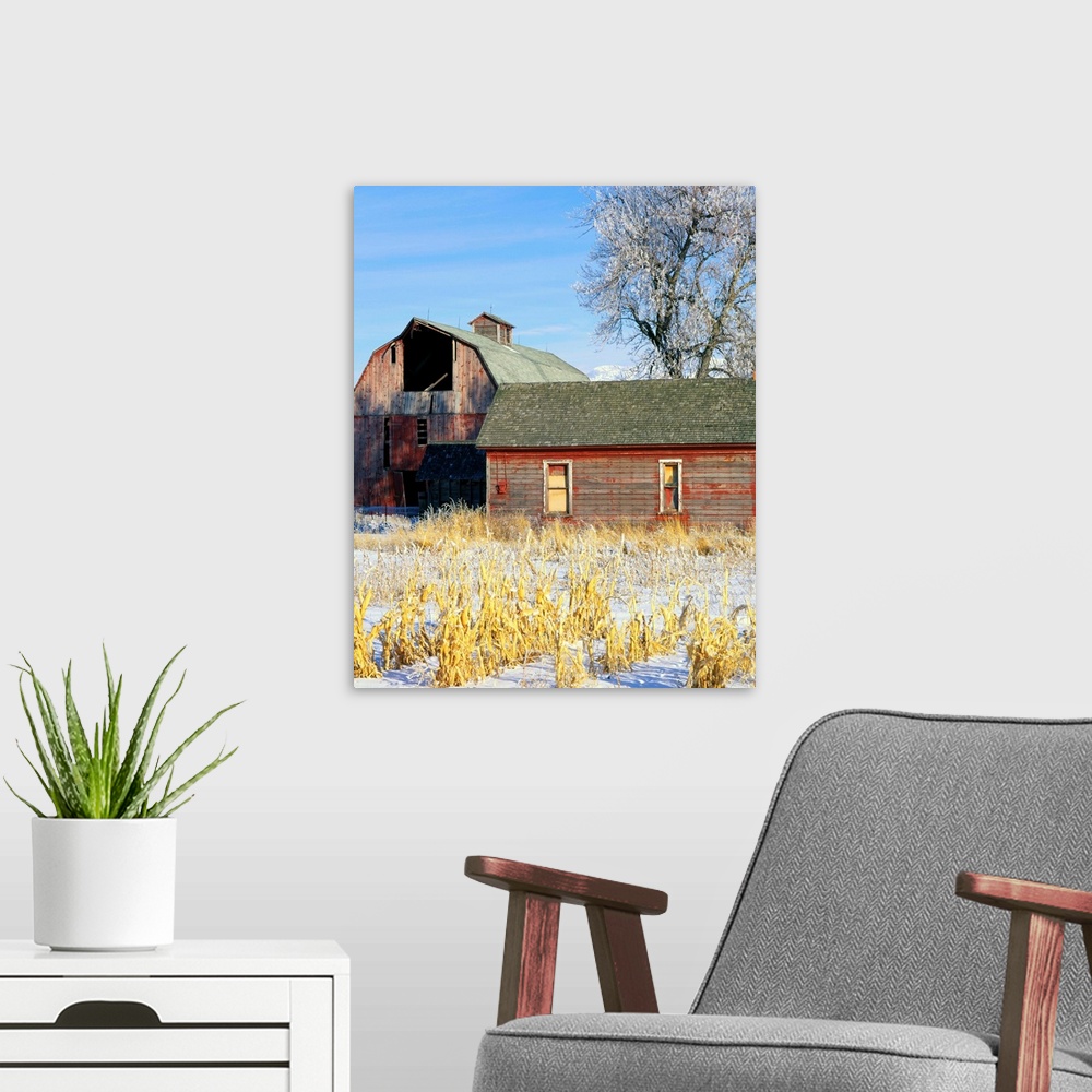 A modern room featuring A winter farmyard scene near Trenton, Utah.