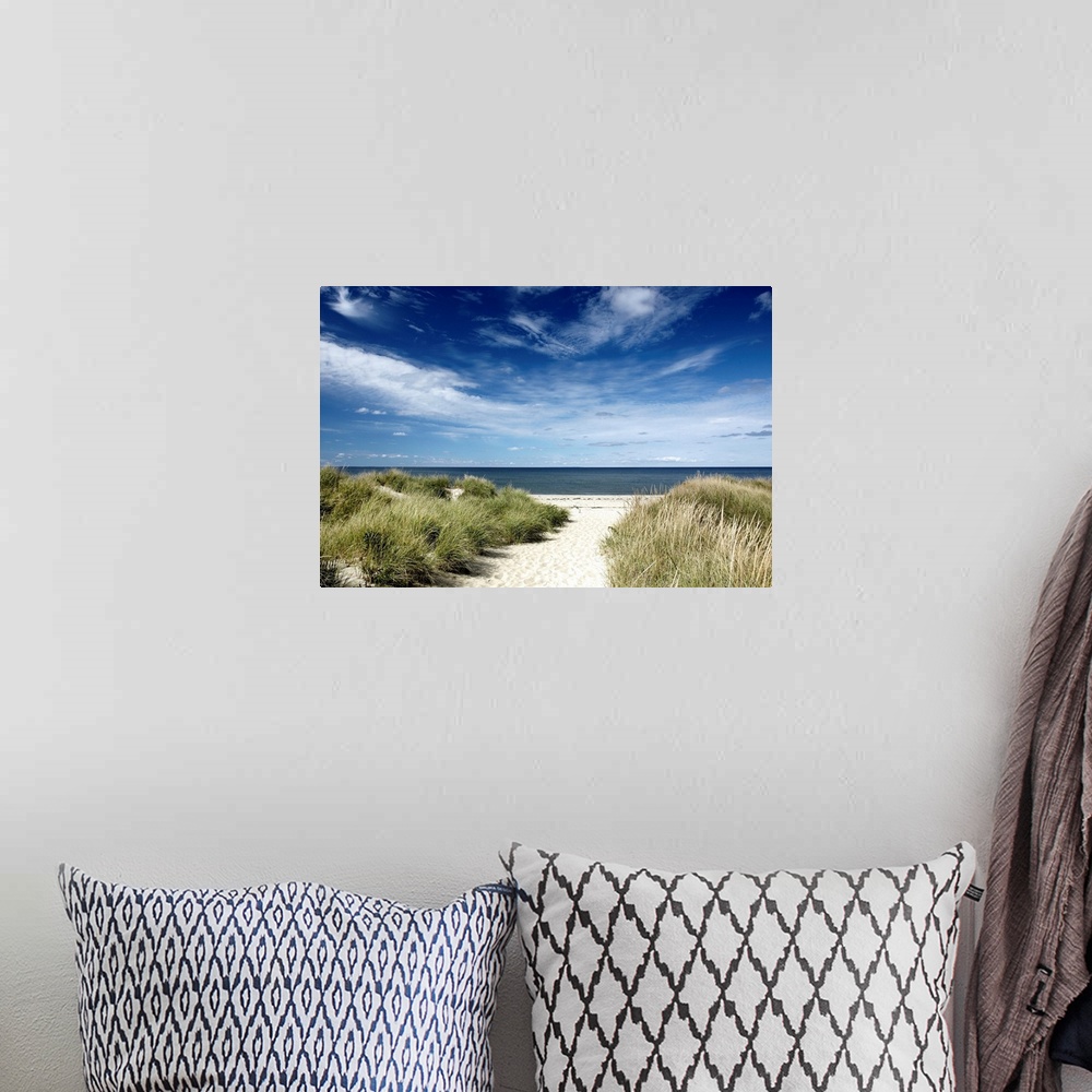 A bohemian room featuring Photograph of sandy walkway lined by tall grass leading to a beach and calm ocean under cloudy sk...