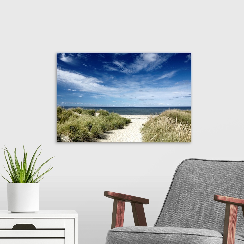A modern room featuring Photograph of sandy walkway lined by tall grass leading to a beach and calm ocean under cloudy sk...