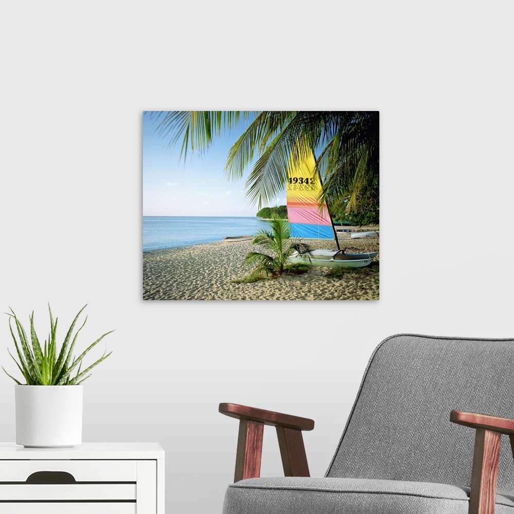 A modern room featuring Photograph of boat with colorful sail in the sand under palm trees with ocean in distant.