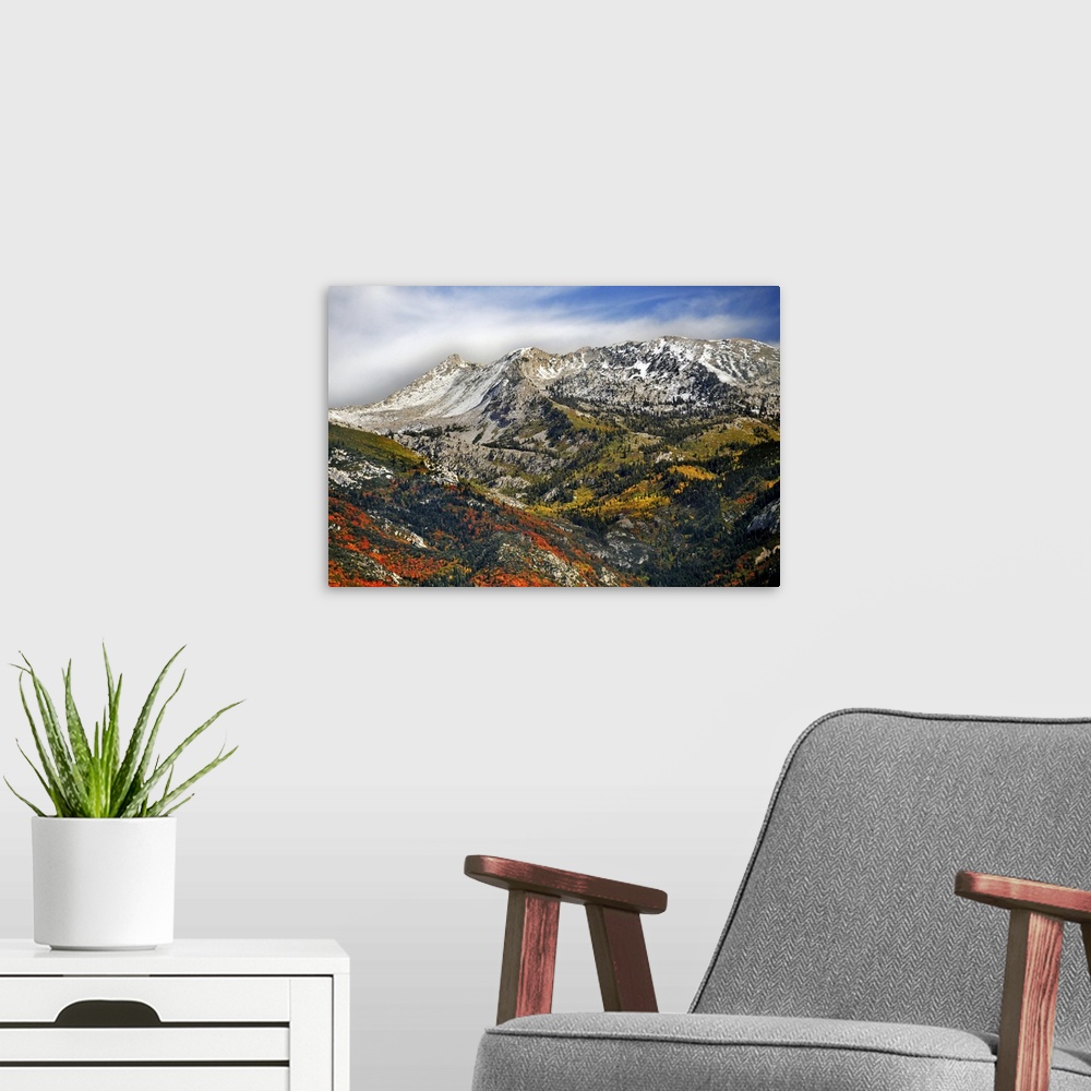 A modern room featuring Beautiful red oak and gorgeous golden aspens dot landscape below granite peaks, Lehi, Utah.