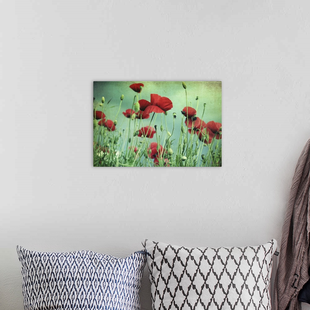 A bohemian room featuring Beautiful red poppies with green-blue textured background.