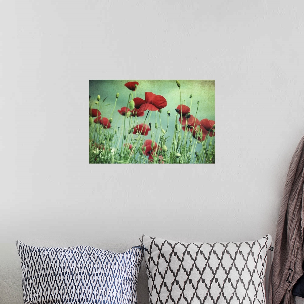 A bohemian room featuring Beautiful red poppies with green-blue textured background.