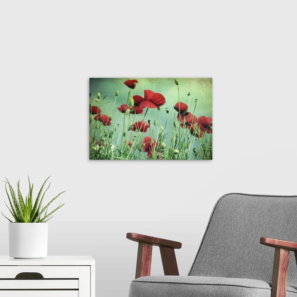 A modern room featuring Beautiful red poppies with green-blue textured background.