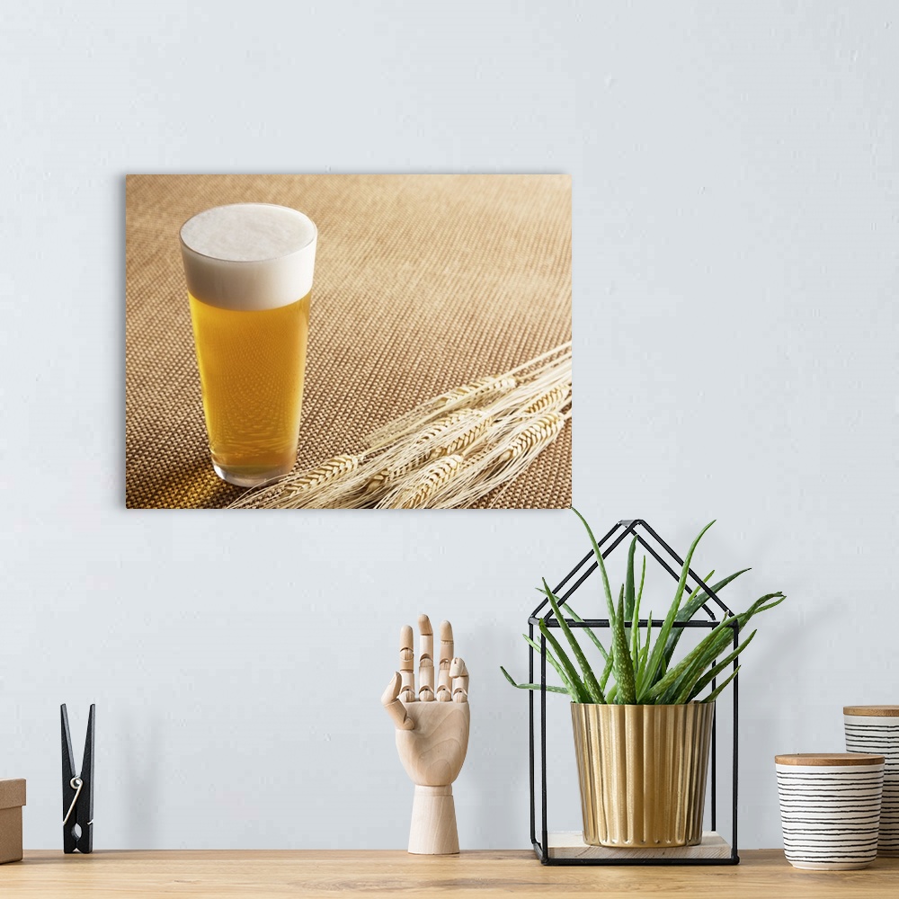 A bohemian room featuring Beer