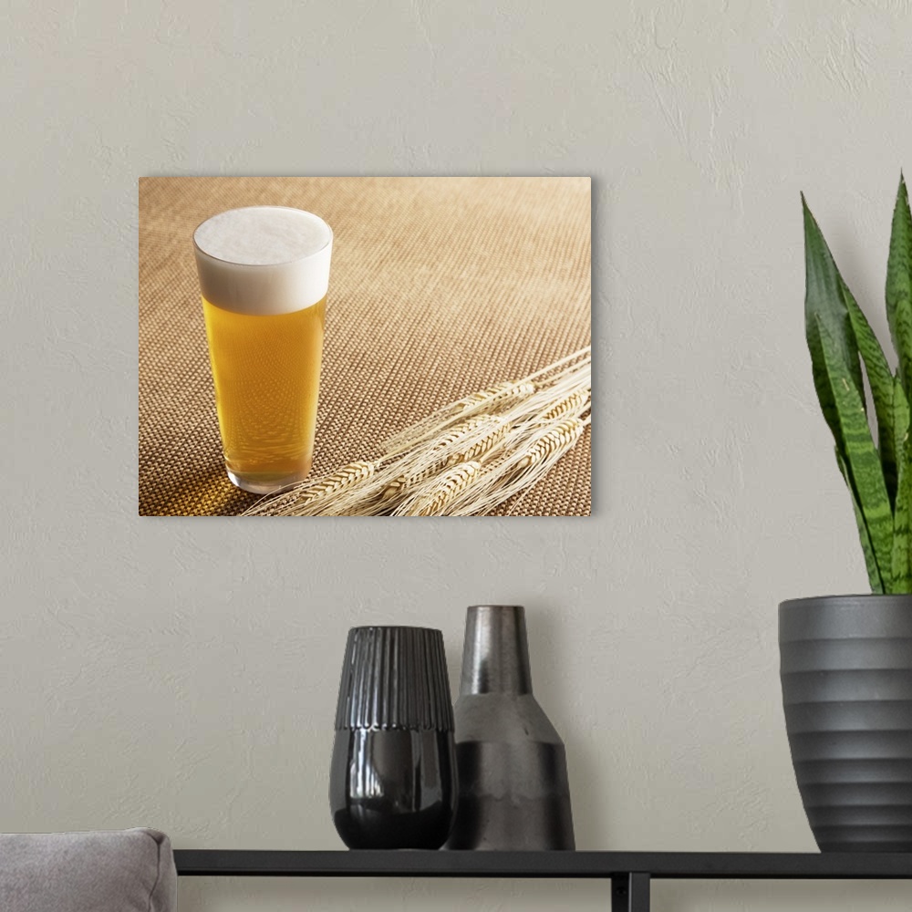 A modern room featuring Beer
