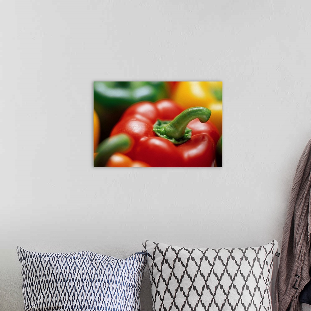 A bohemian room featuring Up-close view of various colors of peppers on canvas.