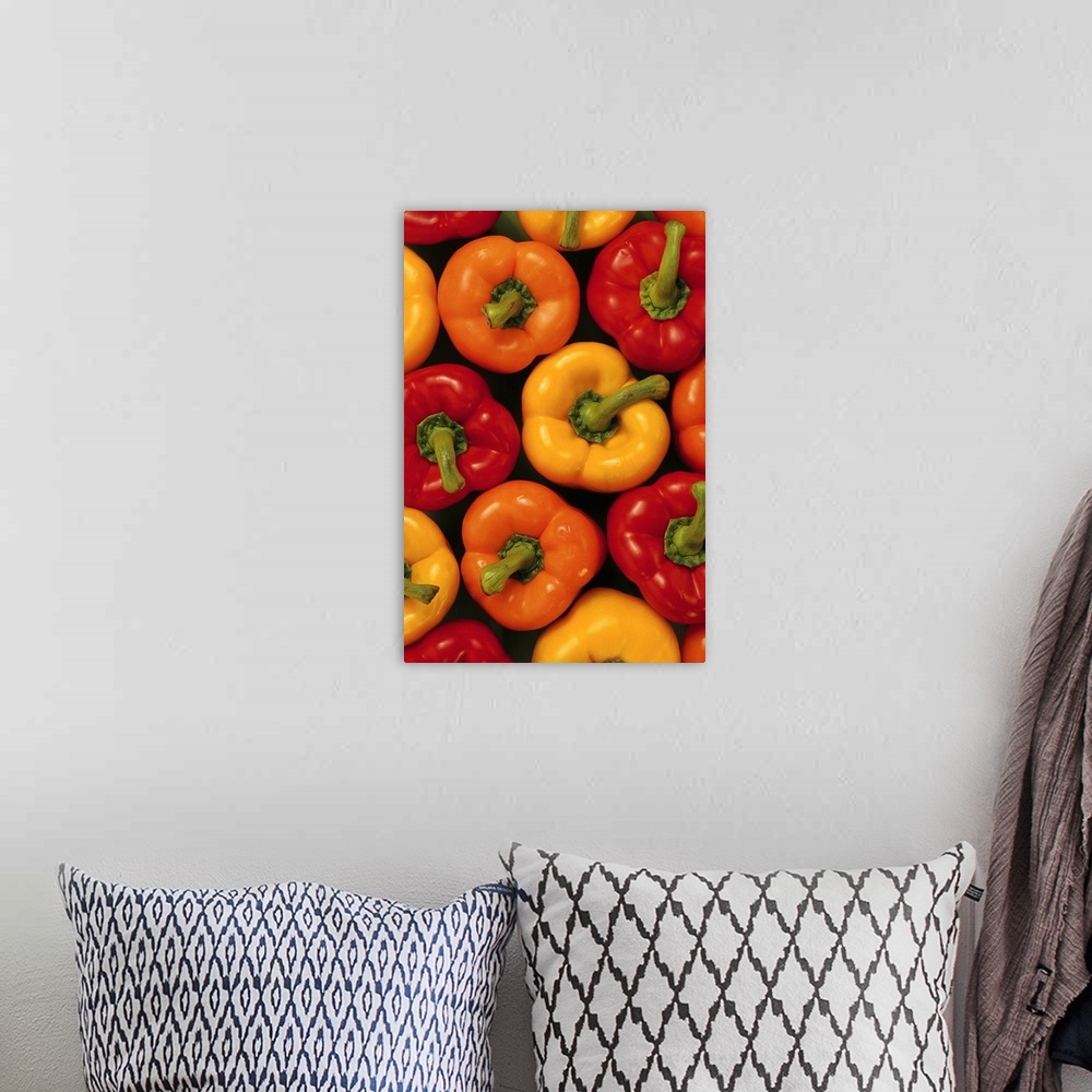 A bohemian room featuring Overhead shot of a group of three varieties of freshly picked bell peppers in summer colors.