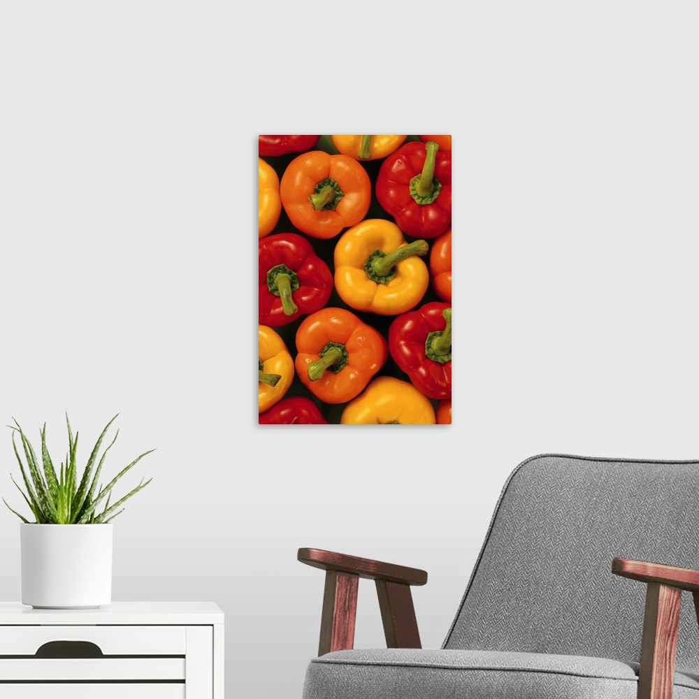 A modern room featuring Overhead shot of a group of three varieties of freshly picked bell peppers in summer colors.