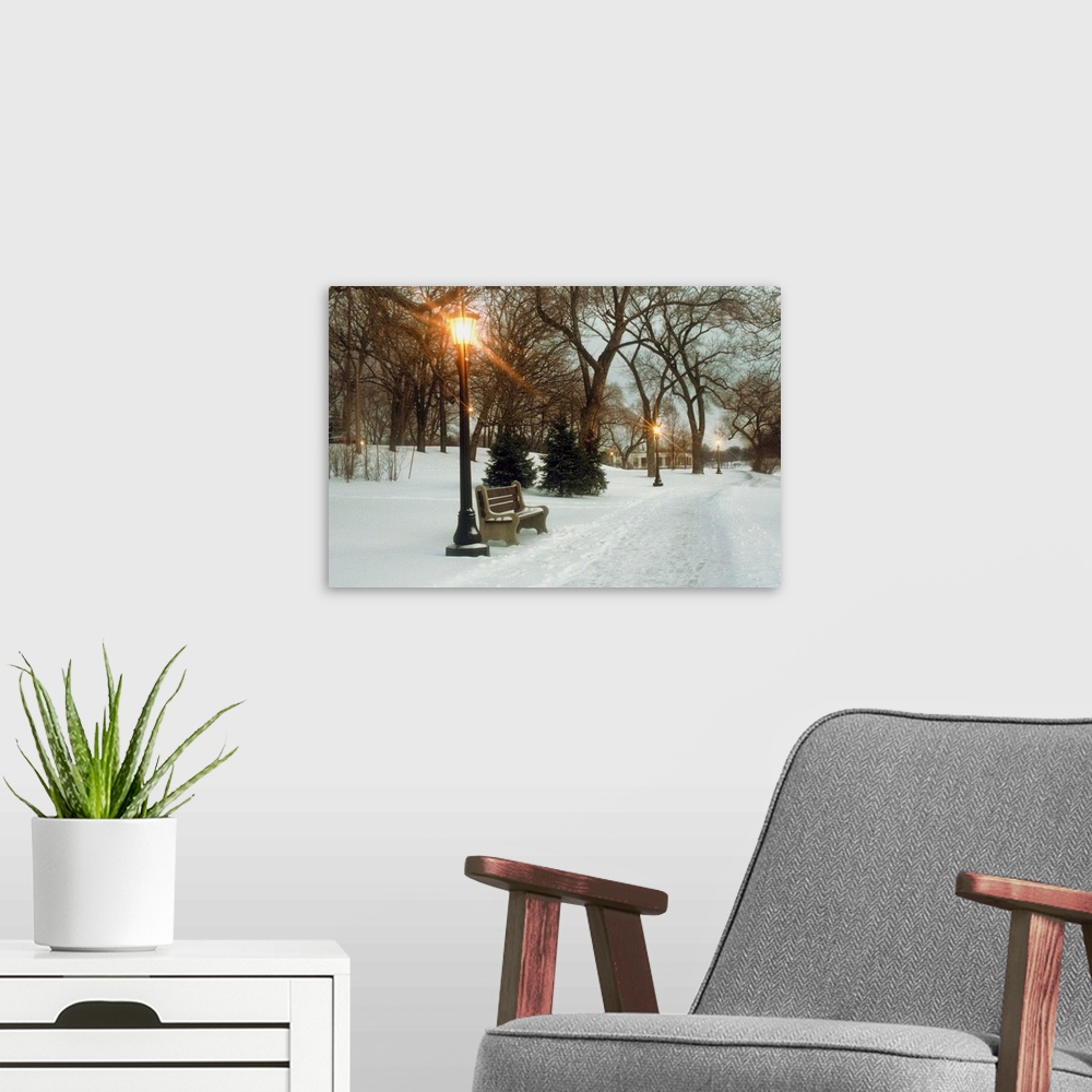A modern room featuring Bench with streetlamp near snow-covered road, Lake Como Park, Saint Paul, Minnesota, USA