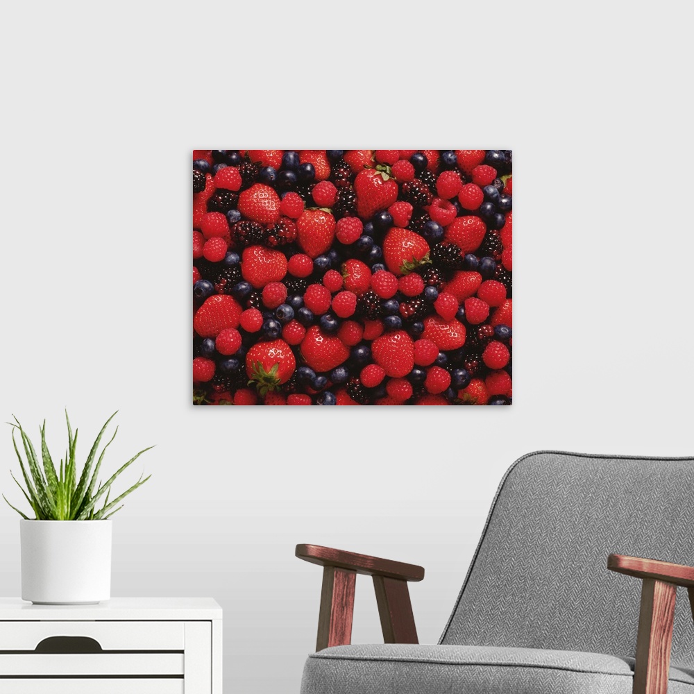 A modern room featuring Berries