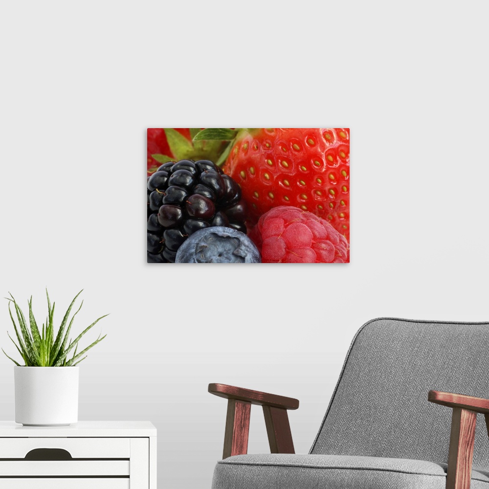 A modern room featuring Close-up of blackberry, blueberry and strawberries.