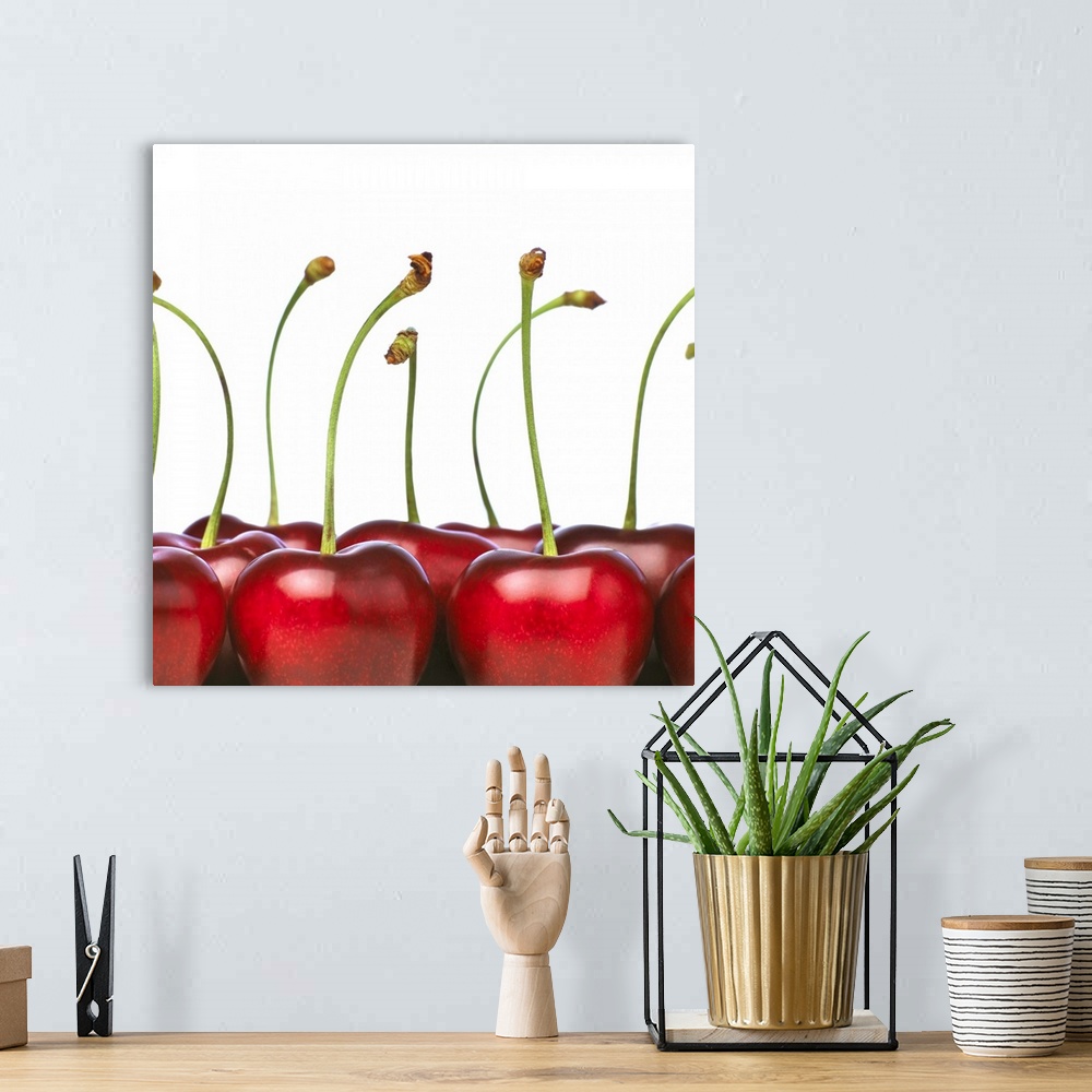 A bohemian room featuring Charries shot in the foreground of the photograph. The cherries are big, ripe and red and they ha...