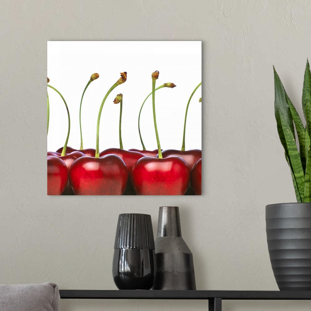 A modern room featuring Charries shot in the foreground of the photograph. The cherries are big, ripe and red and they ha...