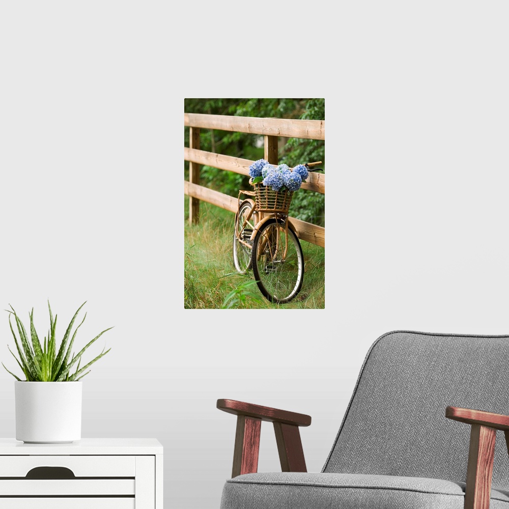 A modern room featuring Photograph of vintage bicycle with a wooden basket filled with flowers leaning against a wooden f...