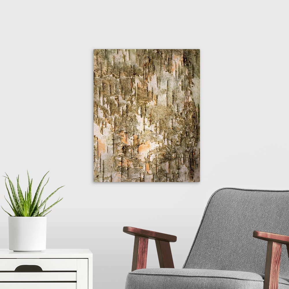 A modern room featuring Birch Tree Bark Detail