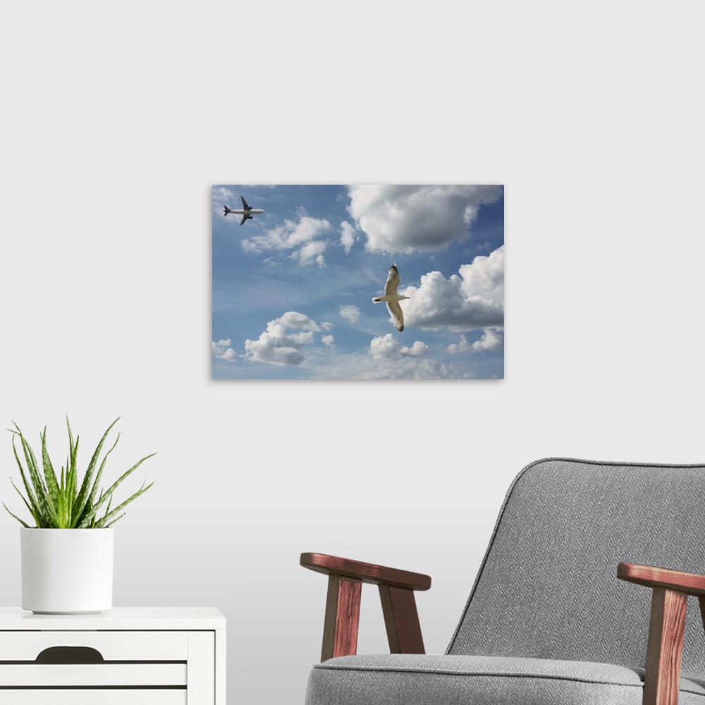 A modern room featuring Bird and air plane fly together against clouds in sky, New York.