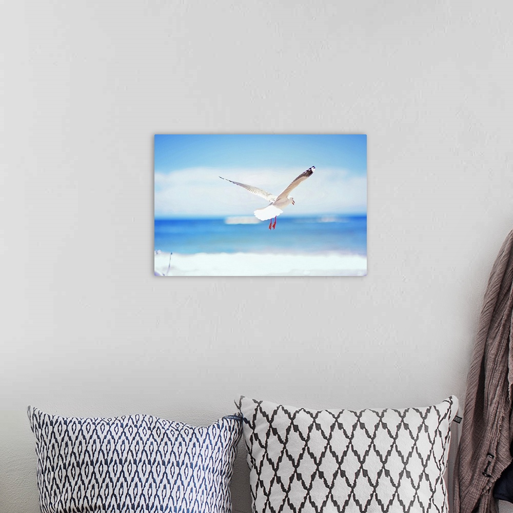A bohemian room featuring Bird flying in beach.