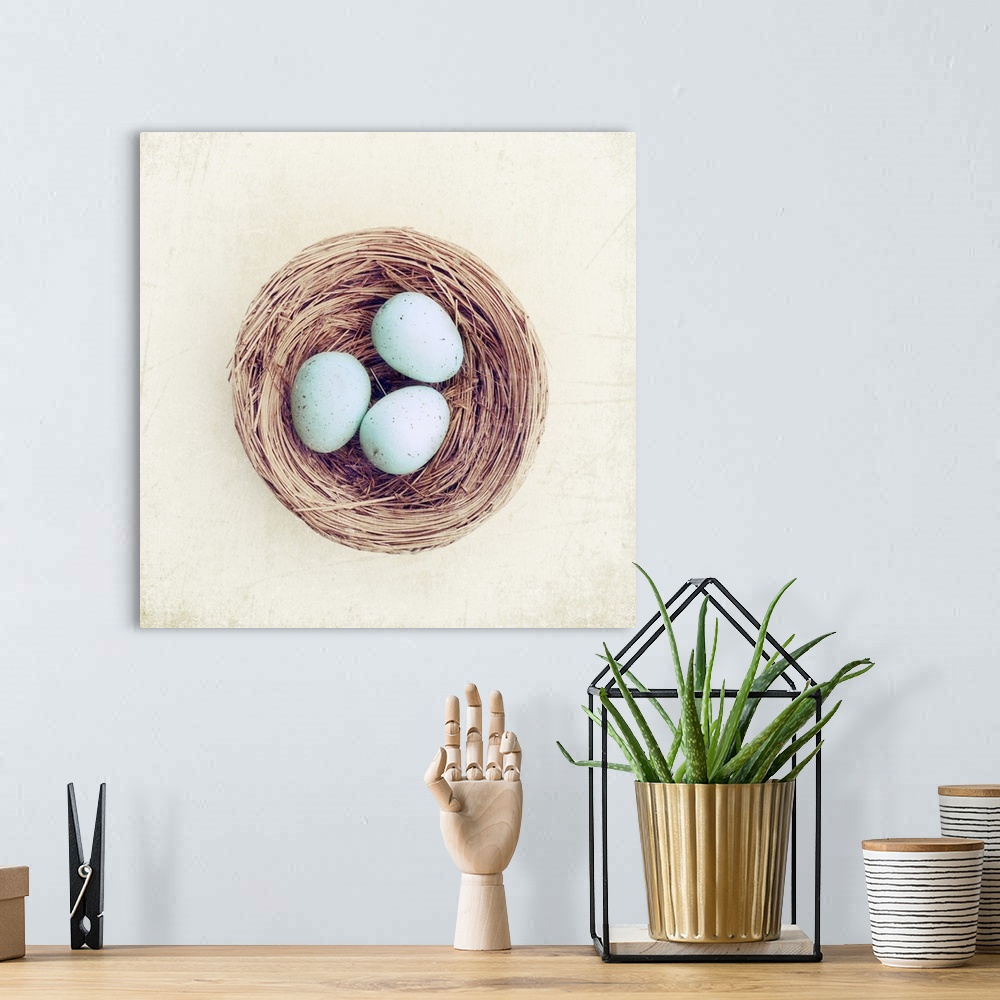 A bohemian room featuring Bird nest with blue baby robins eggs against neutral textured background.