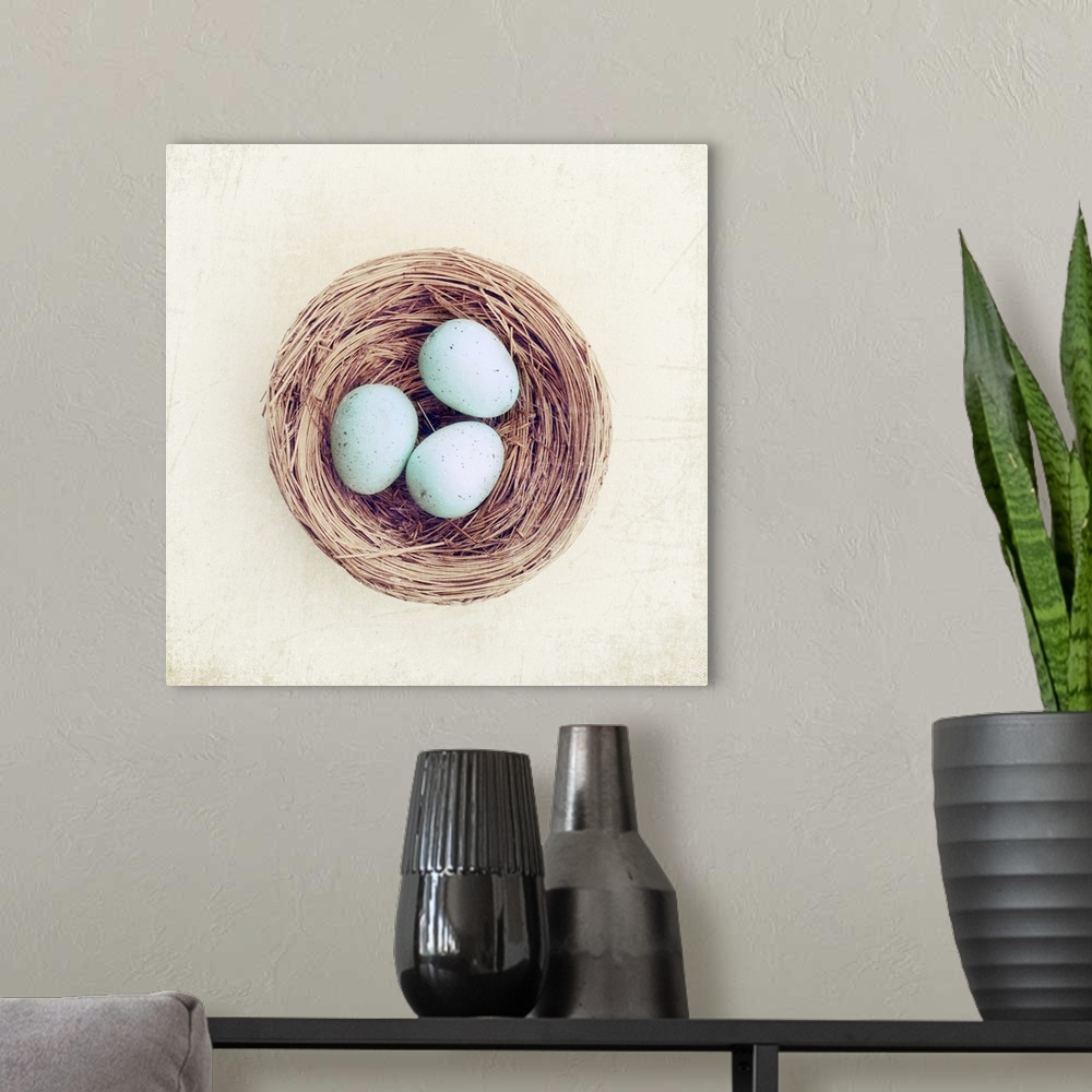 A modern room featuring Bird nest with blue baby robins eggs against neutral textured background.