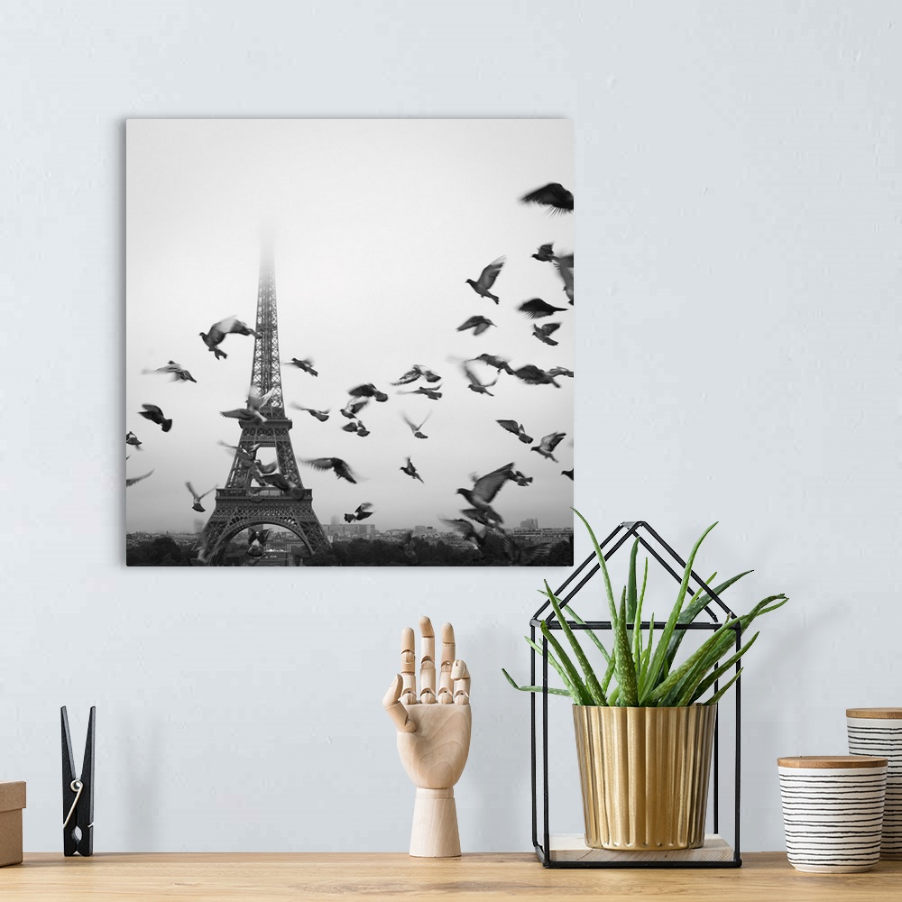 A bohemian room featuring Birds fly in front of the Eiffel Tower on a foggy, misty day in Paris, France
