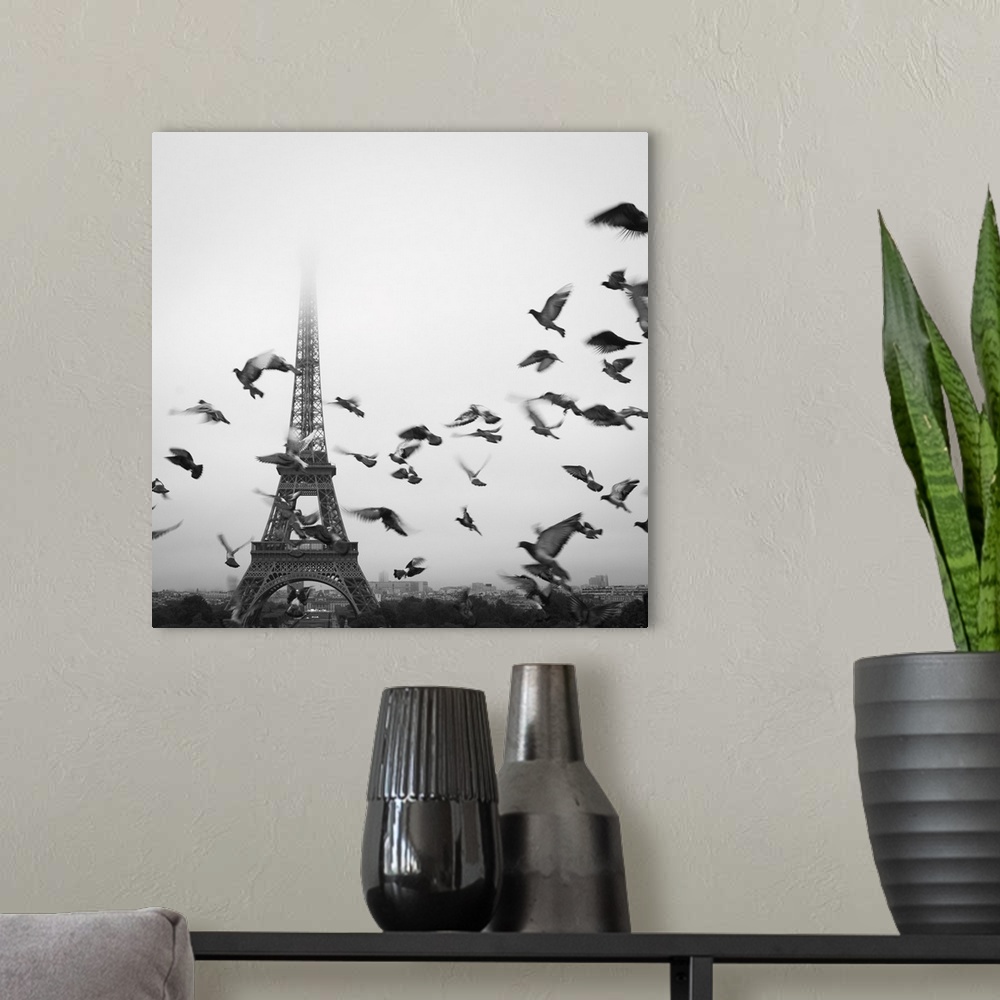 A modern room featuring Birds fly in front of the Eiffel Tower on a foggy, misty day in Paris, France