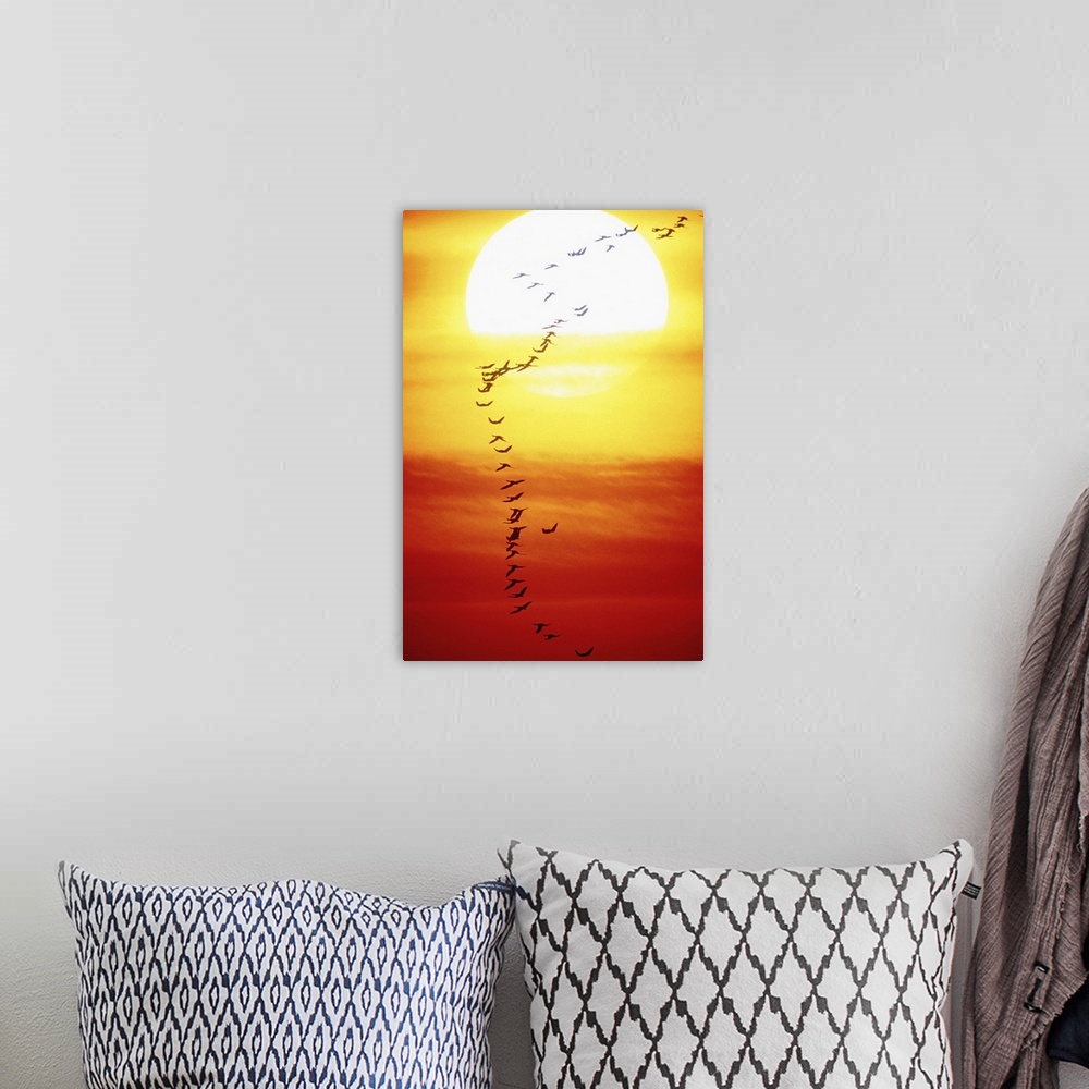 A bohemian room featuring Birds flying in formation, sunset