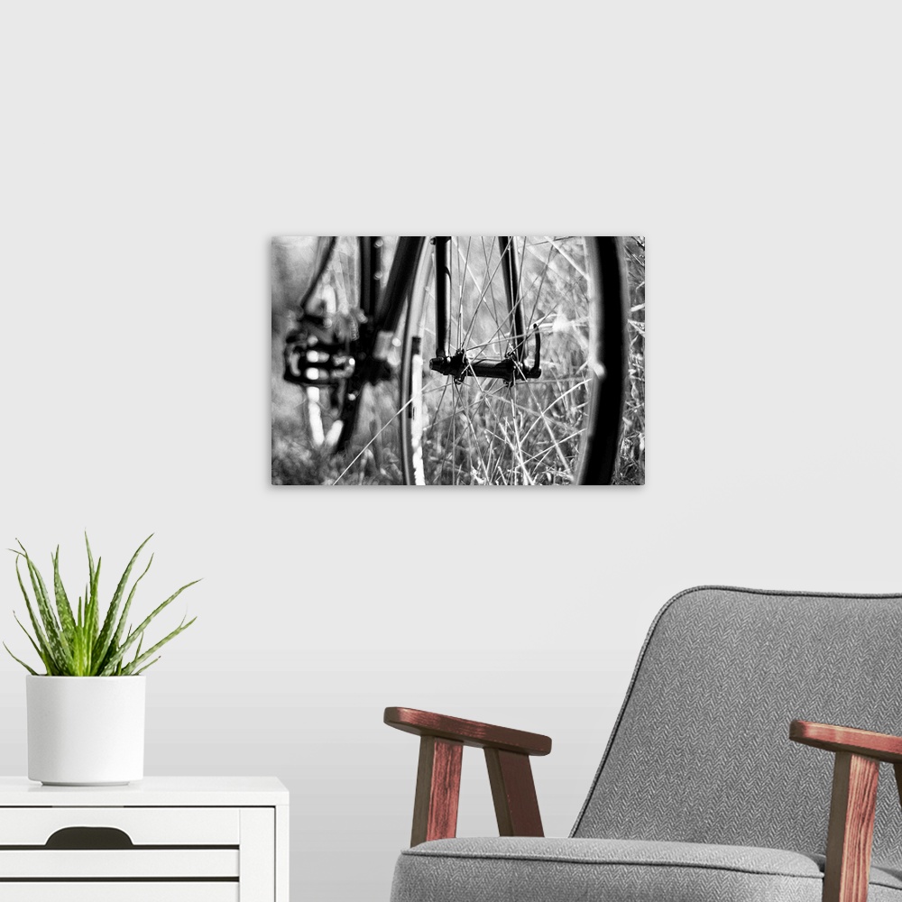 A modern room featuring Black & White bike wheel with rough and ready depth of field.