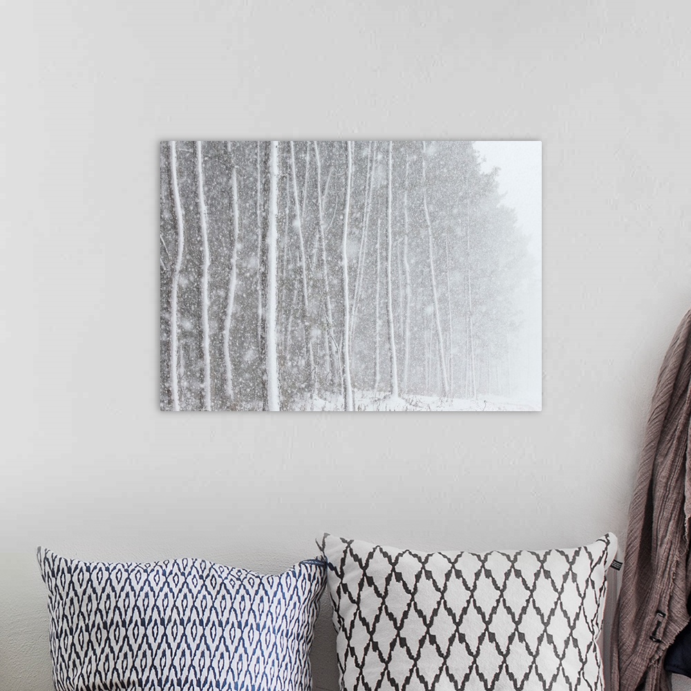 A bohemian room featuring Blizzard blankets trees in snow.