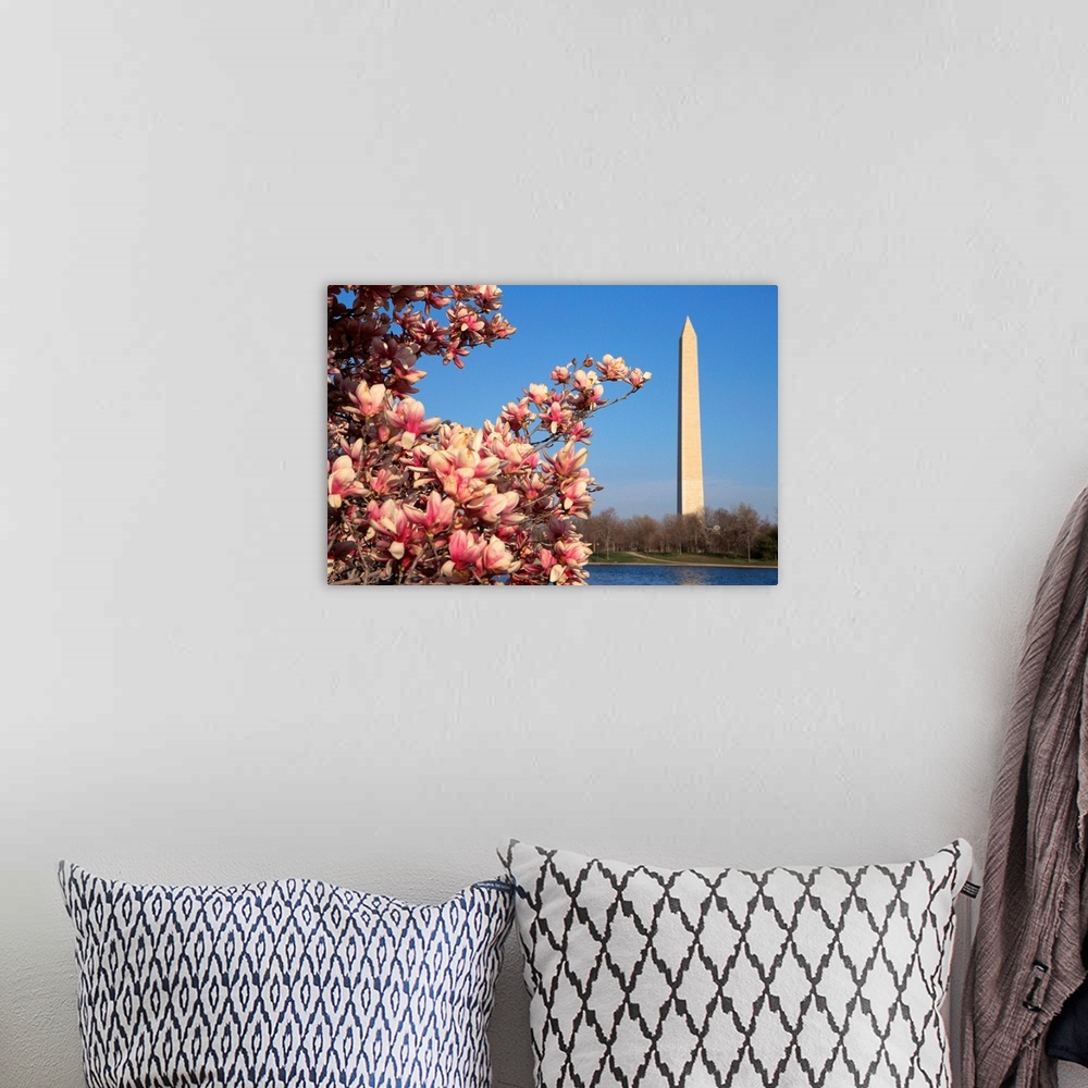 A bohemian room featuring Blooming Magnolia Near Washington Monument