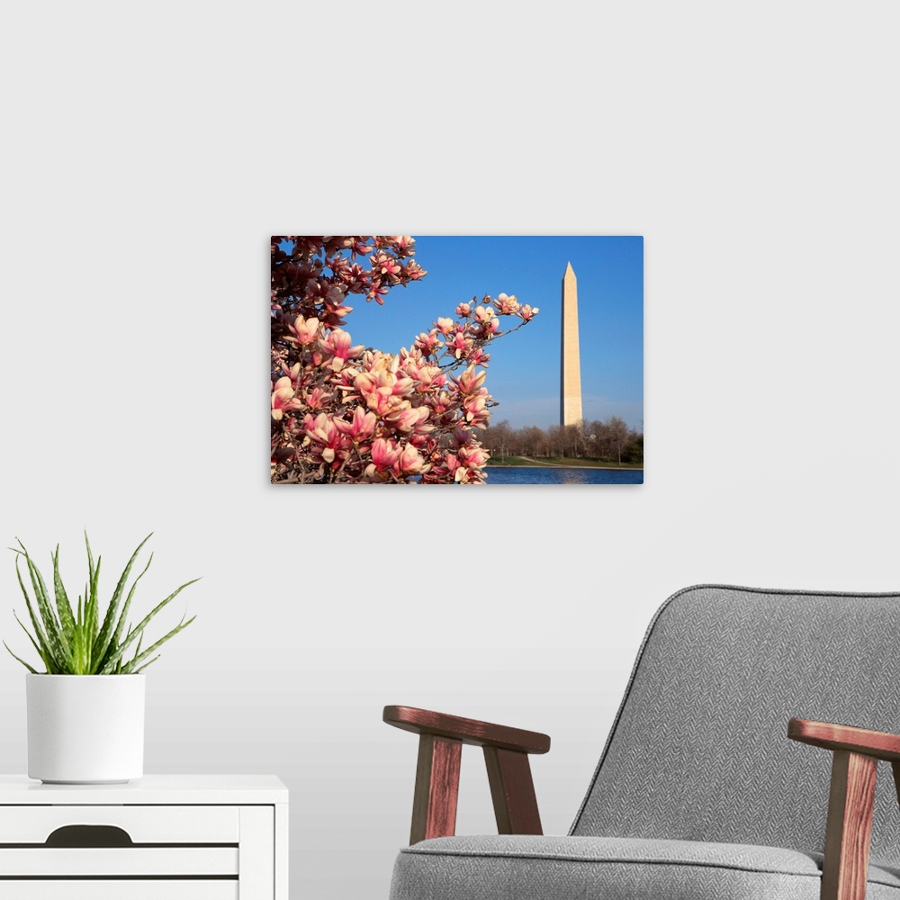 A modern room featuring Blooming Magnolia Near Washington Monument