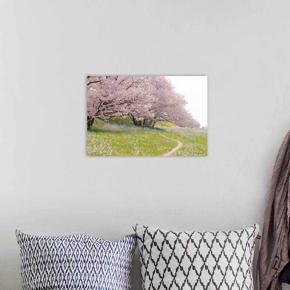 A bohemian room featuring Blossoming Yoshino cherry trees in a field of flowers, Ota Ward, Tokyo Prefecture, Japan