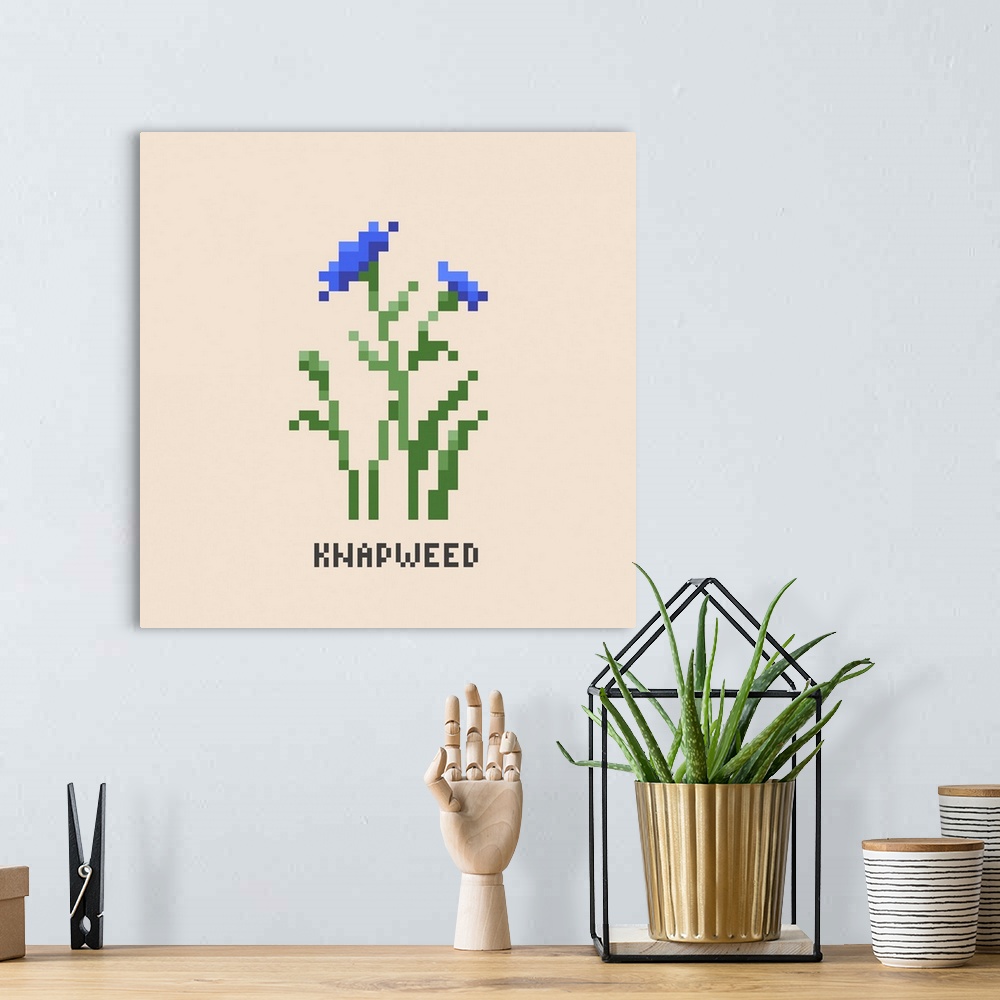 A bohemian room featuring Blue Knapweed Pixel Art