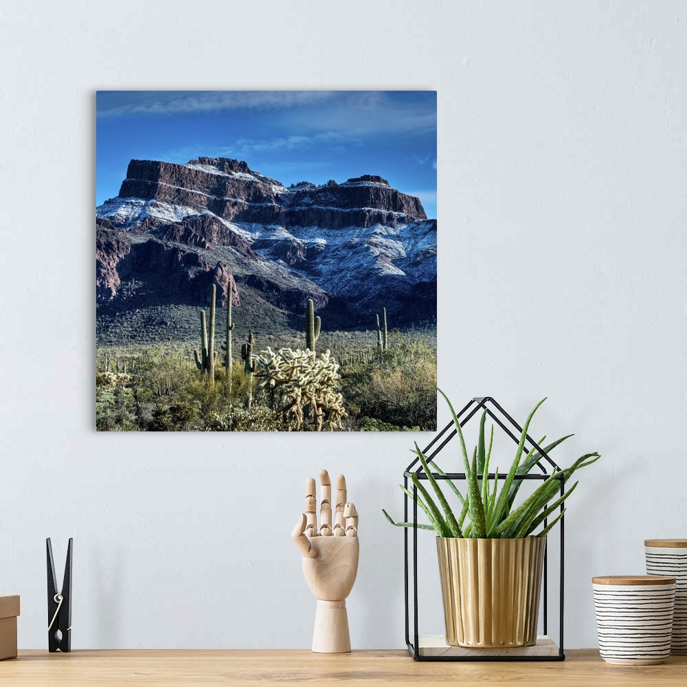 A bohemian room featuring the morning after the February snow passed through the Superstition Mountains.  A view of the Fla...