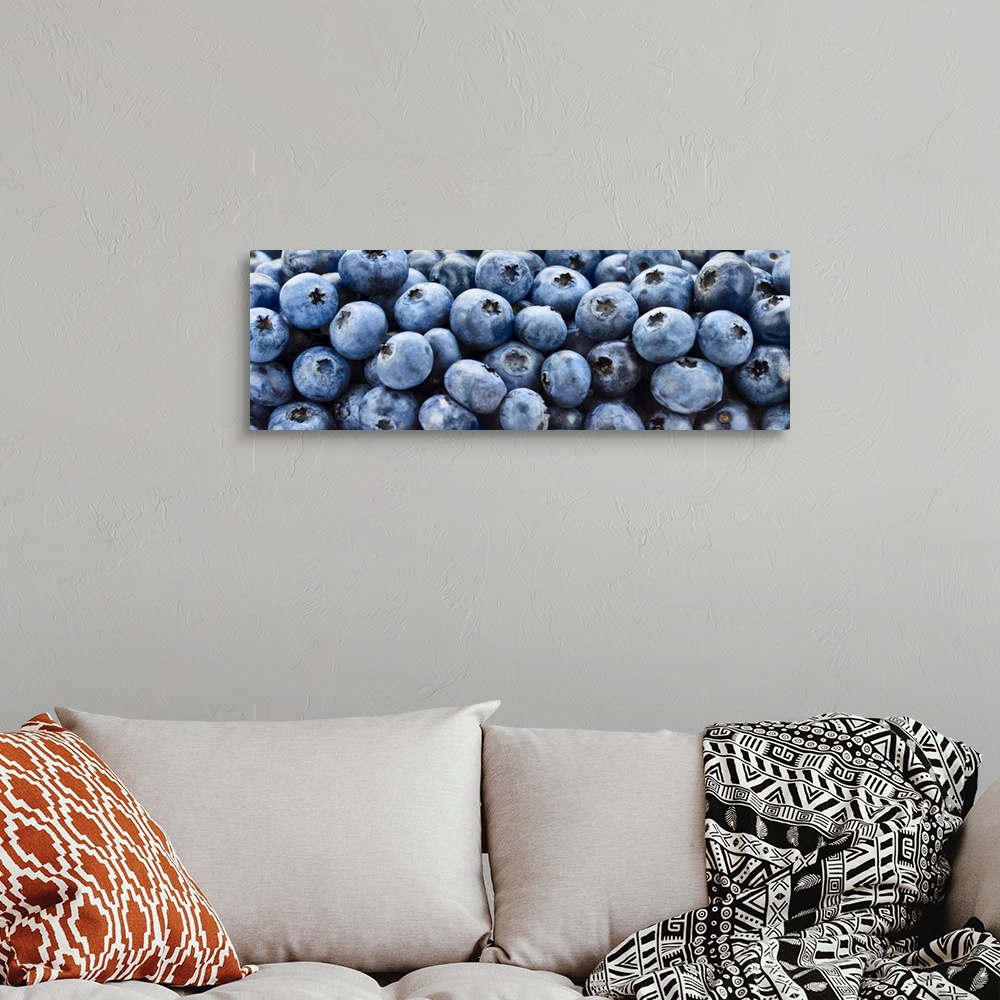 A bohemian room featuring Big panoramic up close view of blueberries on canvas.