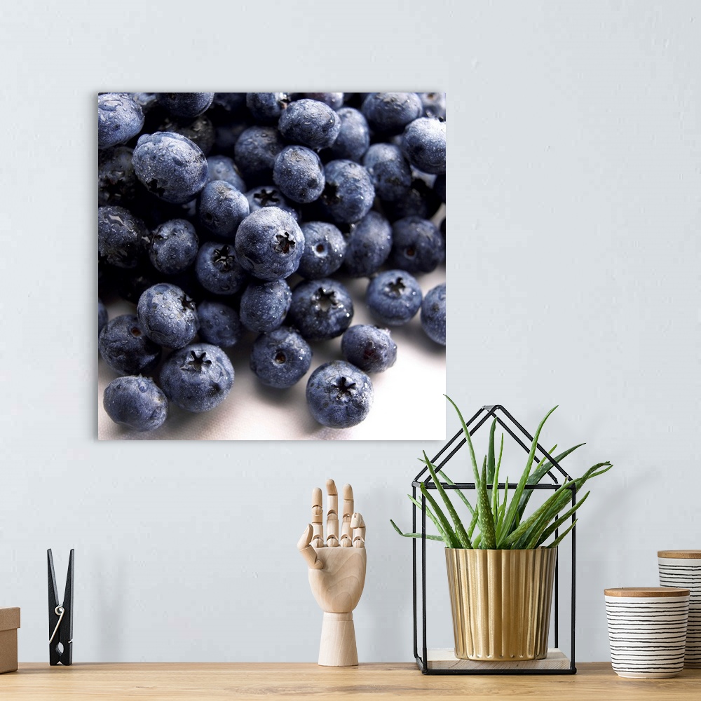 A bohemian room featuring Blueberries