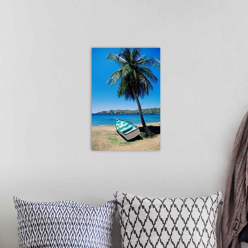 A bohemian room featuring Boat and palm tree, Tobago, Caribbean
