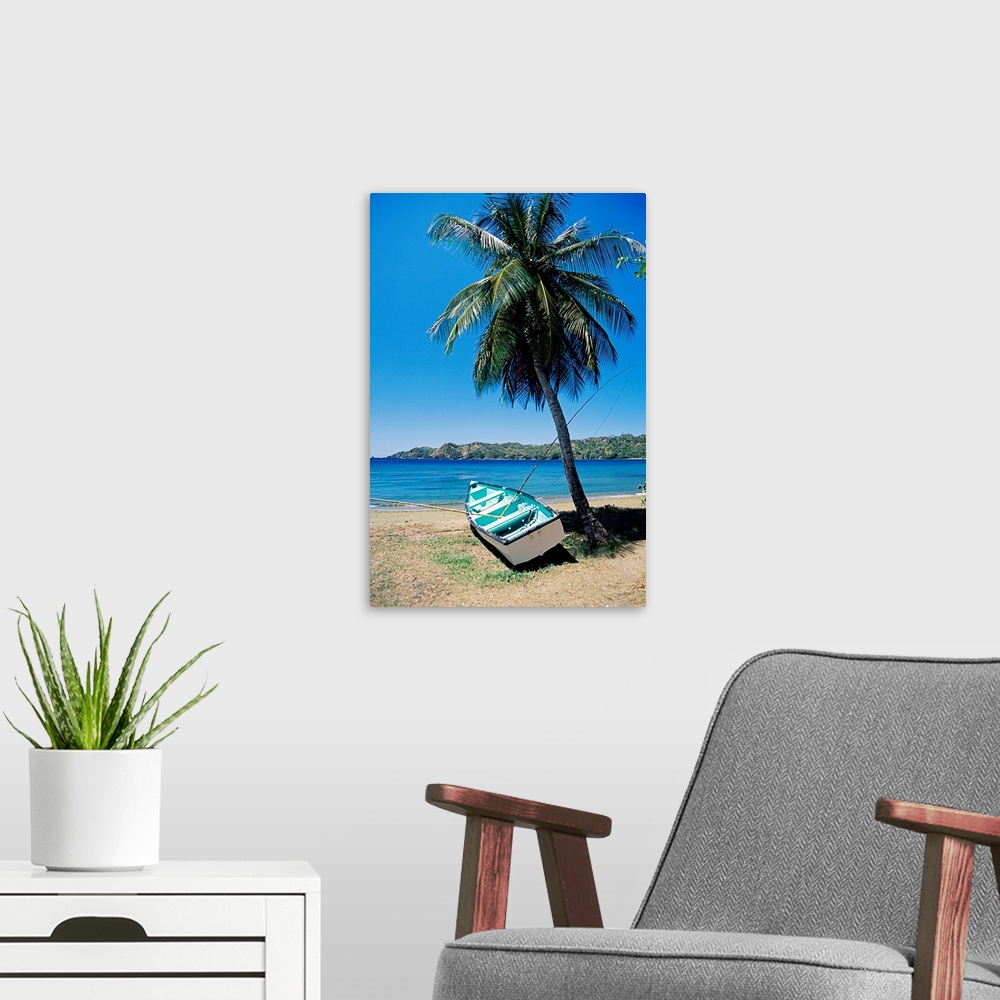 A modern room featuring Boat and palm tree, Tobago, Caribbean