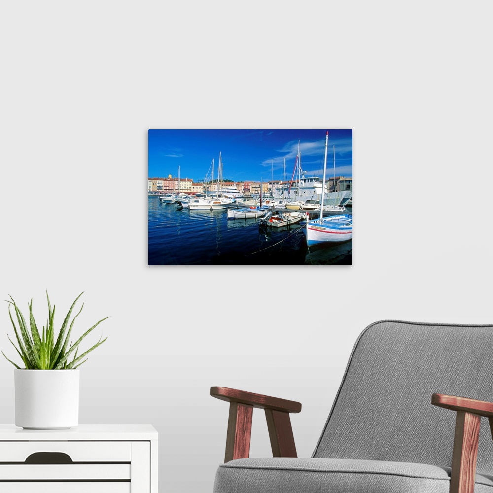 A modern room featuring Boats anchored at a harbor, Saint Tropez, French Riviera, France