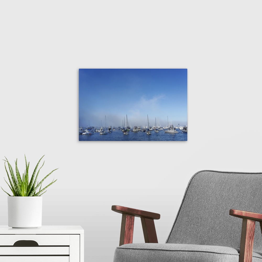 A modern room featuring Boats in mist, Catalina Harbor
