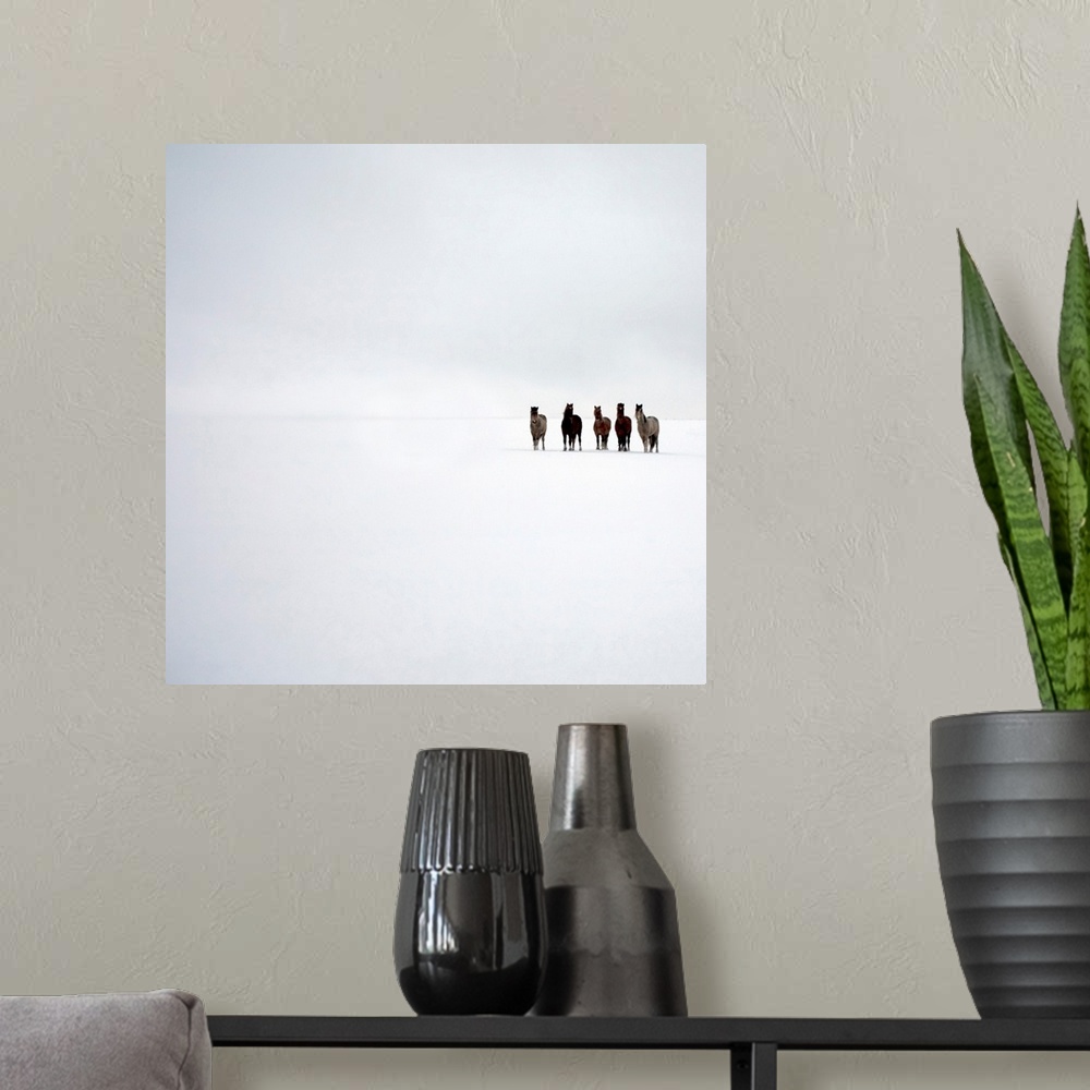 A modern room featuring This oversize square piece shows five ponies standing to the right side of the picture on a white...