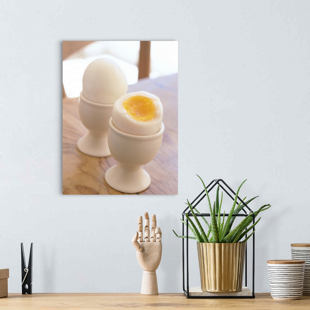 A bohemian room featuring Boiled Egg