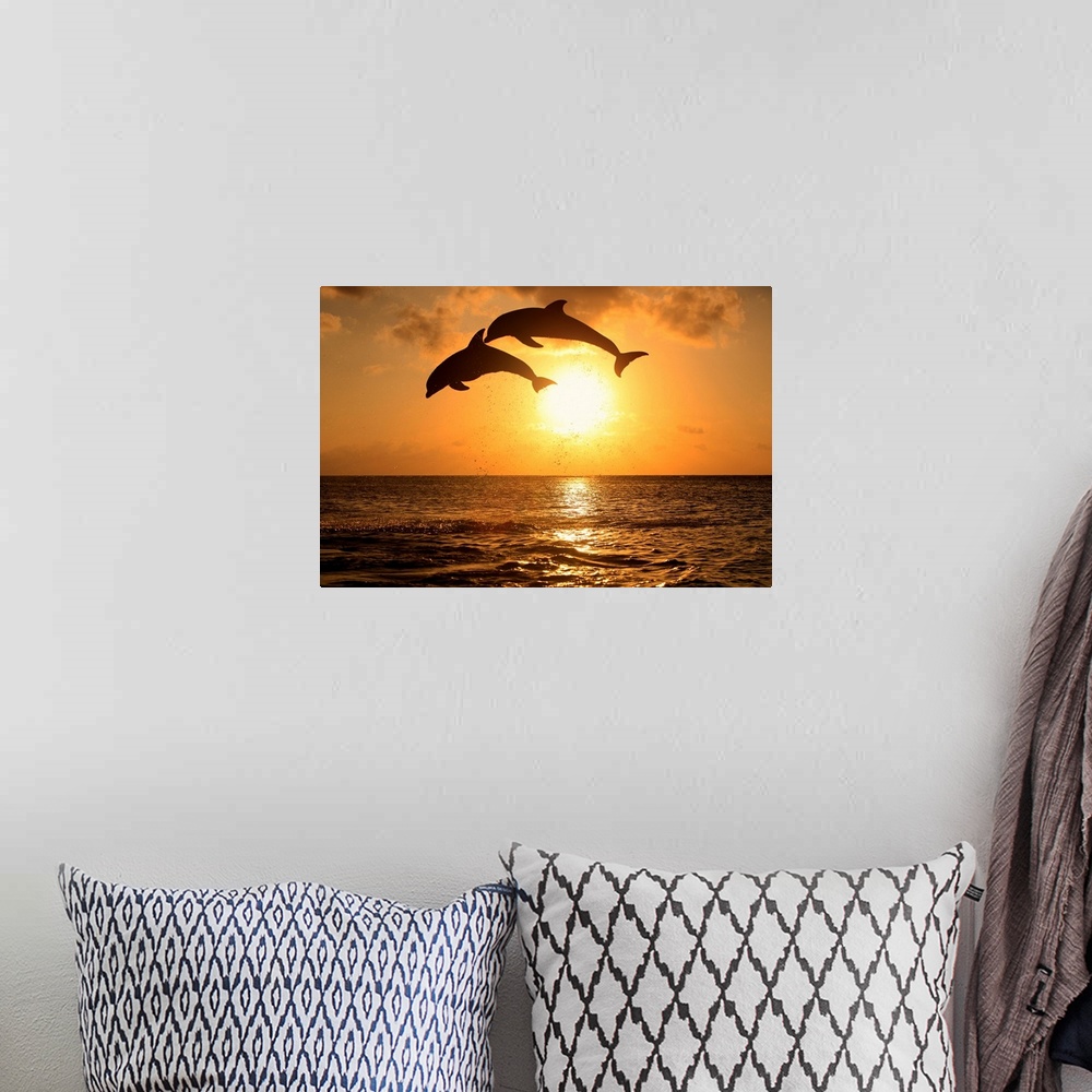A bohemian room featuring Decorative artwork for a beach home with two dolphins jumping out of water and over the sun setti...