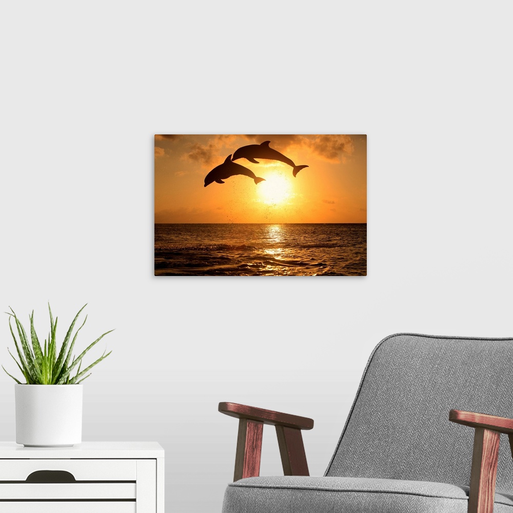 A modern room featuring Decorative artwork for a beach home with two dolphins jumping out of water and over the sun setti...
