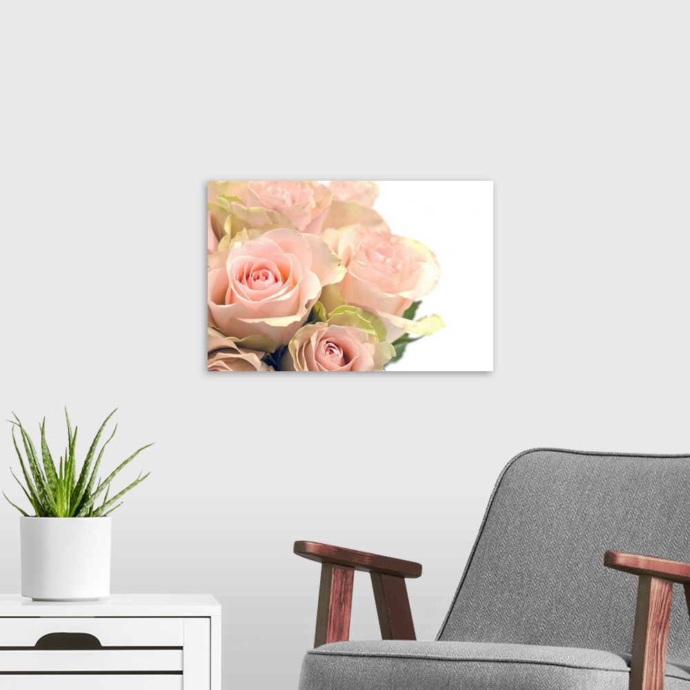 A modern room featuring Bouquet of pink roses