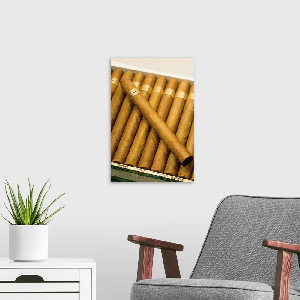 A modern room featuring Box of cigars