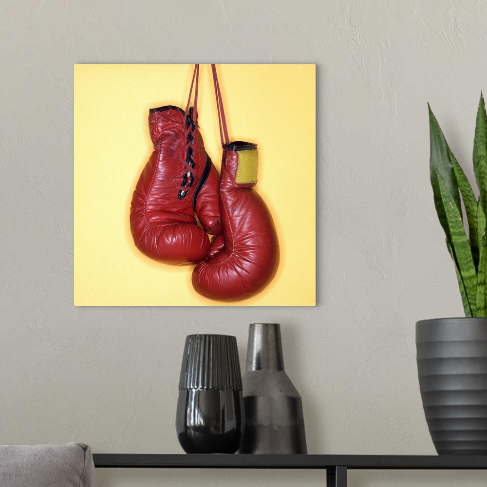 A modern room featuring Boxing gloves